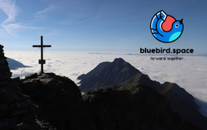 cepa_bluebird_towern3000_thomas buchsteiner